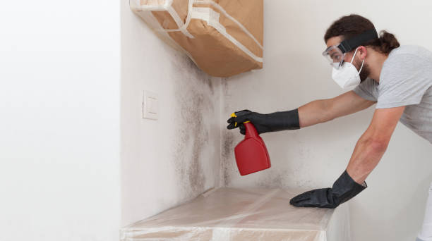 Professional Mold Testing technician working in Towaco, NJ